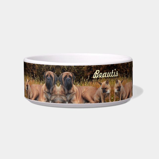 French Bulldog und Mastiff Freunde Napf (Vorderseite)