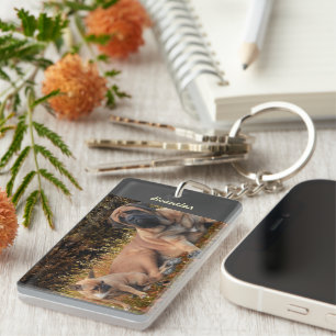 French Bulldog und Mastiff Freunde Schlüsselanhänger