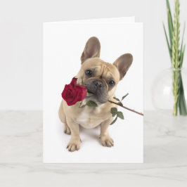 French Bulldog Valentine Karte