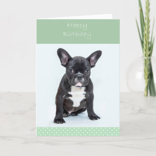 French Bulldog Welppy Happy Birthday Grußkarte Karte