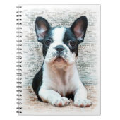French Bulldog Wendelheft Notizblock (Vorderseite)