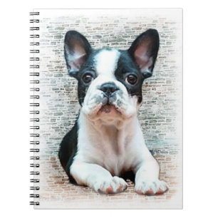 French Bulldog Wendelheft Notizblock