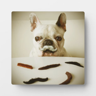 French Bulldog With A Mustache Fotoplatte