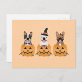 French Bulldogs Halloween Pumpkin Postkarte (Vorne/Hinten)