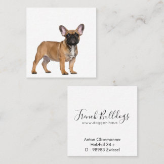 French Bulldogs Square Business Card Quadratische Visitenkarte