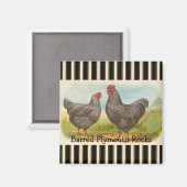 French Country Rooster Hen Poultry Kühlschrankmagn Magnet (Vorderseite/Rückseite)