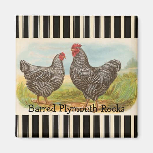 French Country Rooster Hen Poultry Kühlschrankmagn Magnet (Vorne)