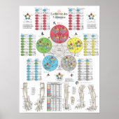 French Five Elements Acupuncture Poster (Vorne)