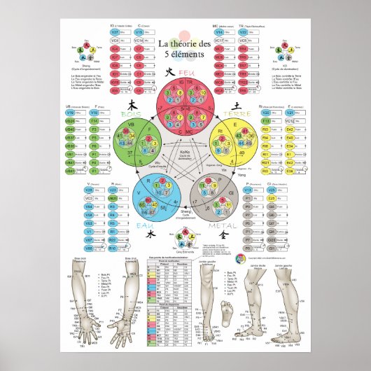 French Five Elements Acupuncture Poster (Vorne)