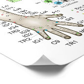 French Five Elements Acupuncture Poster (Ecke)