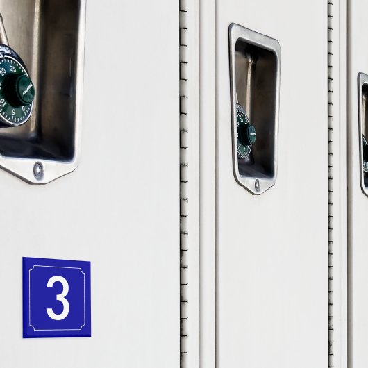 French House Number Magnet (In Situ (Schrank))