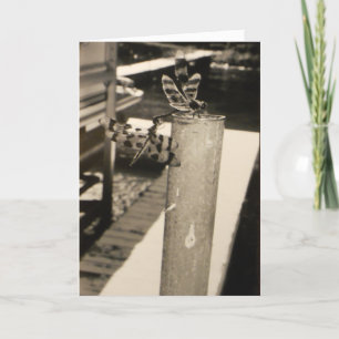 "French Lake Dragonflies" Get Well Card #2 Karte