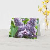 French Lilac Get Well Card Template Karte (Gelbe Blume)