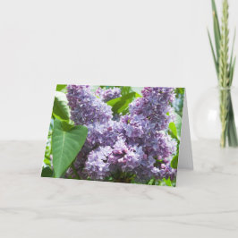 French Lilac Get Well Card Template Karte