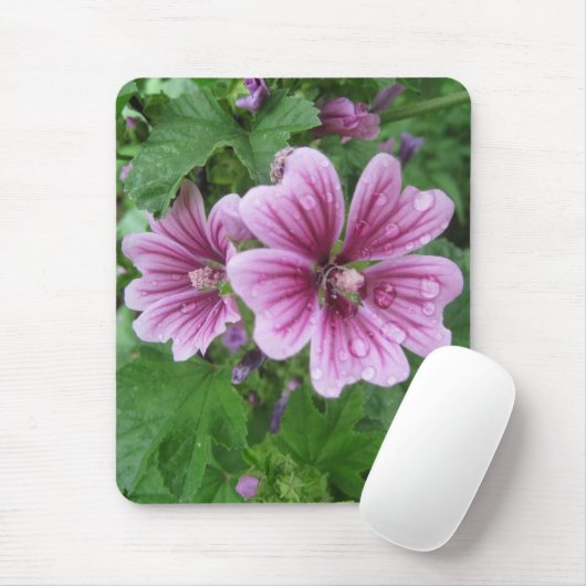 French Mallows Foto Mousepad (Mit Mouse)