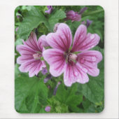 French Mallows Foto Mousepad (Vorne)