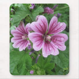 French Mallows Foto Mousepad