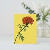 French Marigold Blume Pflanze Lover Gardener Postkarte (Stehend Vorderseite)