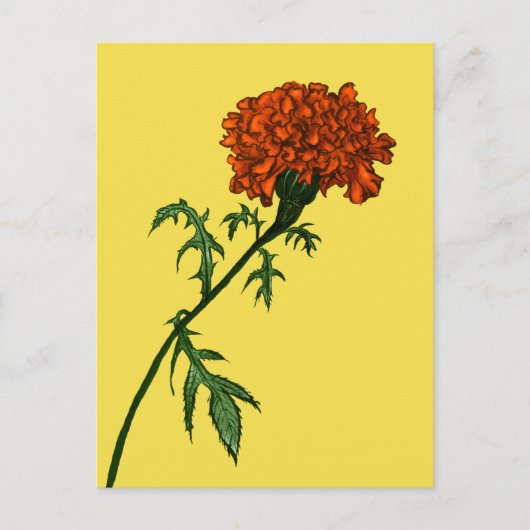 French Marigold Blume Pflanze Lover Gardener Postkarte (Vorderseite)