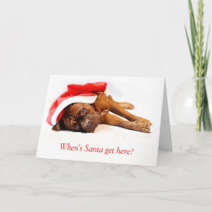 French Mastiff Christmas Card Feiertagskarte