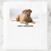 French Mastiff Deadpan Dog Frohe Weihnachtskleber Rechteckiger Aufkleber (Tasche)