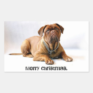 French Mastiff Deadpan Dog Frohe Weihnachtskleber Rechteckiger Aufkleber