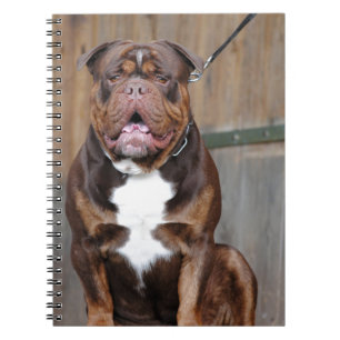 French Mastiff Notizblock