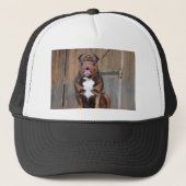 French Mastiff Truckerkappe (Vorderseite)