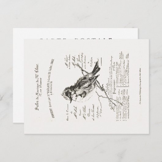 French Music Salon Bird Script Postcard Postkarte (Vorne/Hinten)