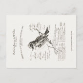 French Music Salon Bird Script Postcard Postkarte (Vorderseite)