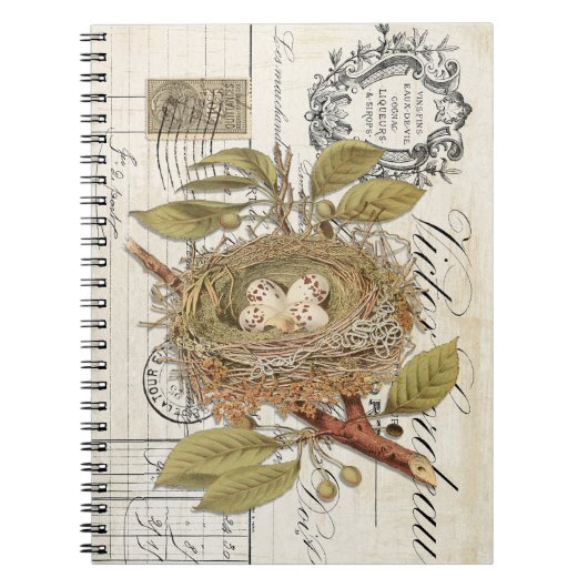 French Nest mit Eggs Spiral Journal Notebook Notizblock (Vorderseite)