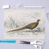 French Pheasant Bird Carte Postale Decoupage Vint Seidenpapier (Handwerk)