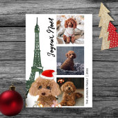 French Poodle Eiffel Tower Foto Paris Weihnachten