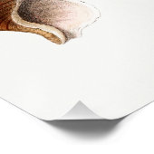 French Seashell Vintag Beach Muschel Sand Ocean Poster (Ecke)