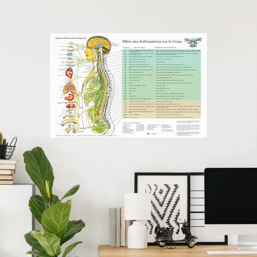 French Subluxation Spinal Nerves ANS Chart Poster (Heimbüro)