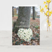 French Sympathy Card Mes Condoleances Karte (Gelbe Blume)