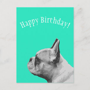 Frenchie   Aqua-farbene Alles Gute zum Geburtstag Postkarte