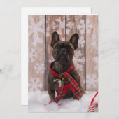 Frenchie Baby Feiertagskarte (Vorne/Hinten)