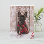 Frenchie Baby Feiertagskarte (Stehend Vorderseite)