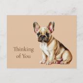 Frenchie Dog denkt an Sie Postkarte (Vorderseite)