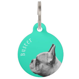 Frenchie | French Bulldog | Personalisiertes Aqua Haustiermarke