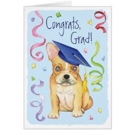 Frenchie Graduate