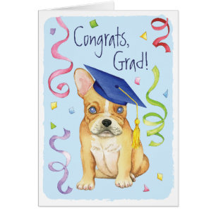 Frenchie Graduate