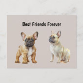 Frenchie Hunde: Die besten Freunde für immer Postkarte (Vorderseite)