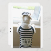 Frenchie Jailbird Happy Birthday Card (Vorne/Hinten)