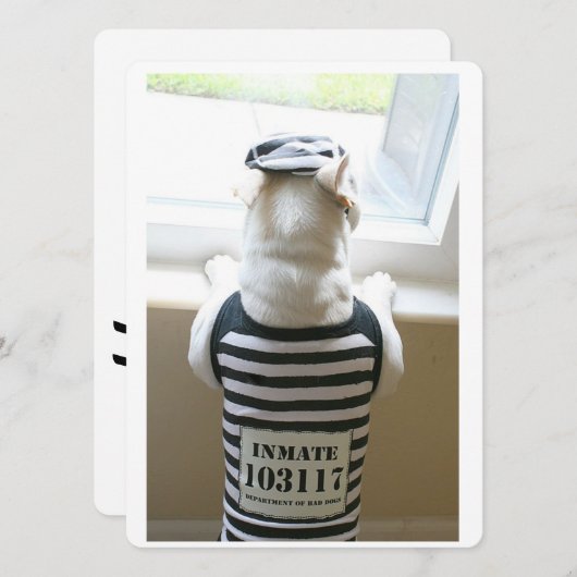 Frenchie Jailbird Happy Birthday Card (Vorne/Hinten)