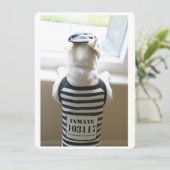 Frenchie Jailbird Happy Birthday Card (Stehend Vorderseite)