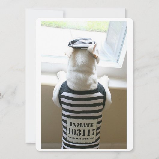 Frenchie Jailbird Happy Birthday Card (Vorderseite)