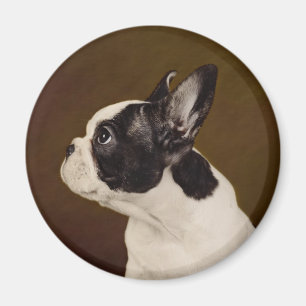 Frenchie Magnet