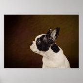 Frenchie Poster (Vorne)